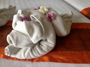 Towel Elephant!