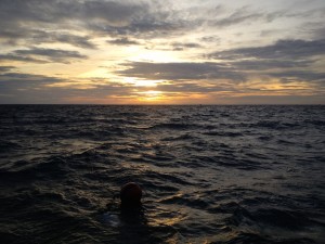 Sunset right before our Night Dive at Pottery