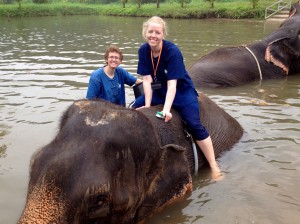 Thai Staycation Bonus: You won't get pooped on in the water by an elephant.