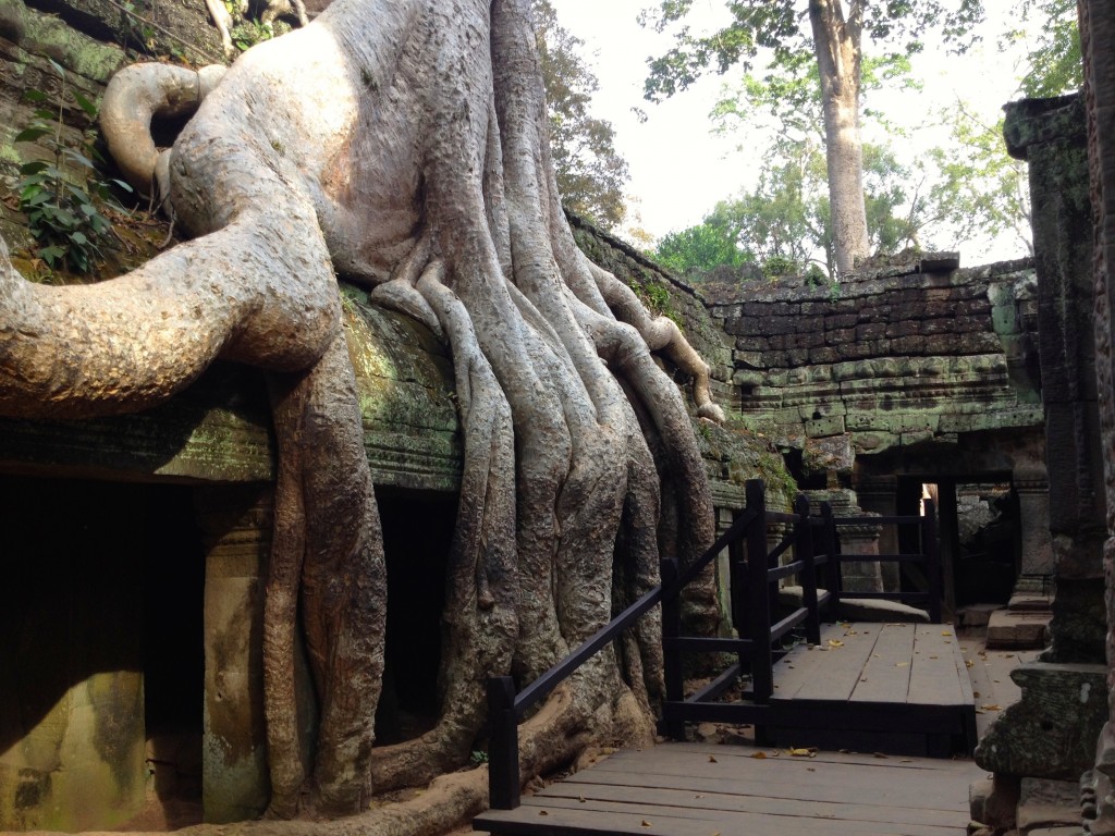 Ta Prohm. When I see this picture, all I can think of is that the tree must be thinking "OMNOMNOM!"