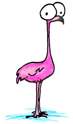 This is a Flamingo, not Flamenco
