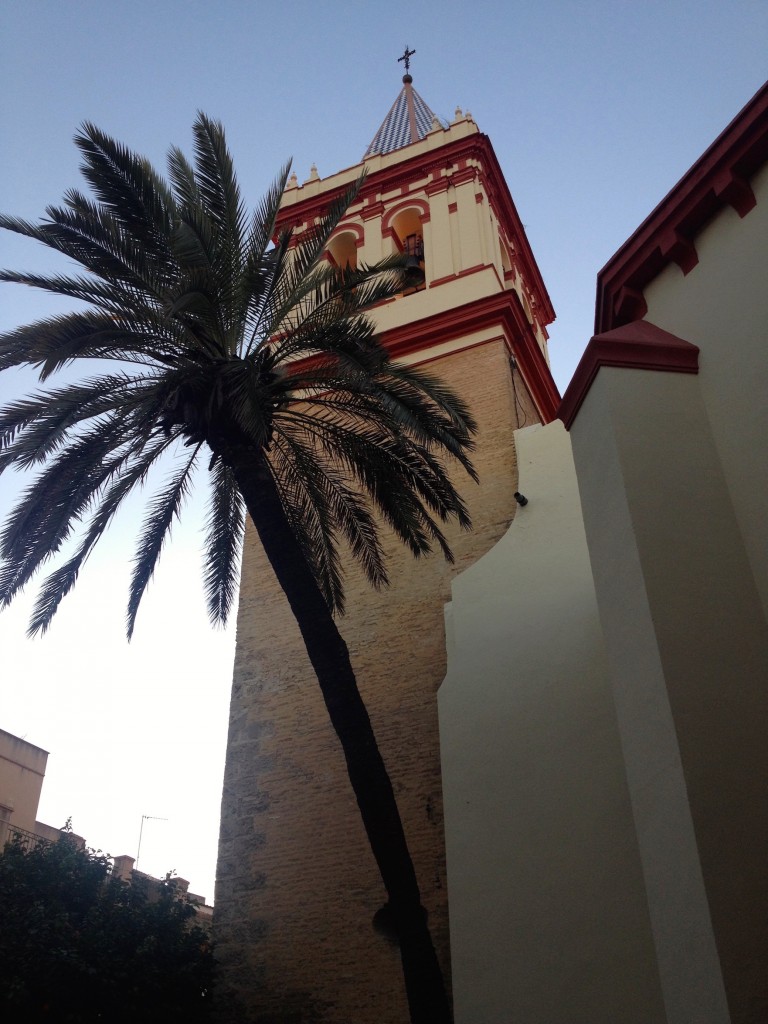 Here's a palm tree near Basilica de la Macarena, about a 5-minute walk north of our Apartment. A palm tree. Near our home. I never thought I'd say that!