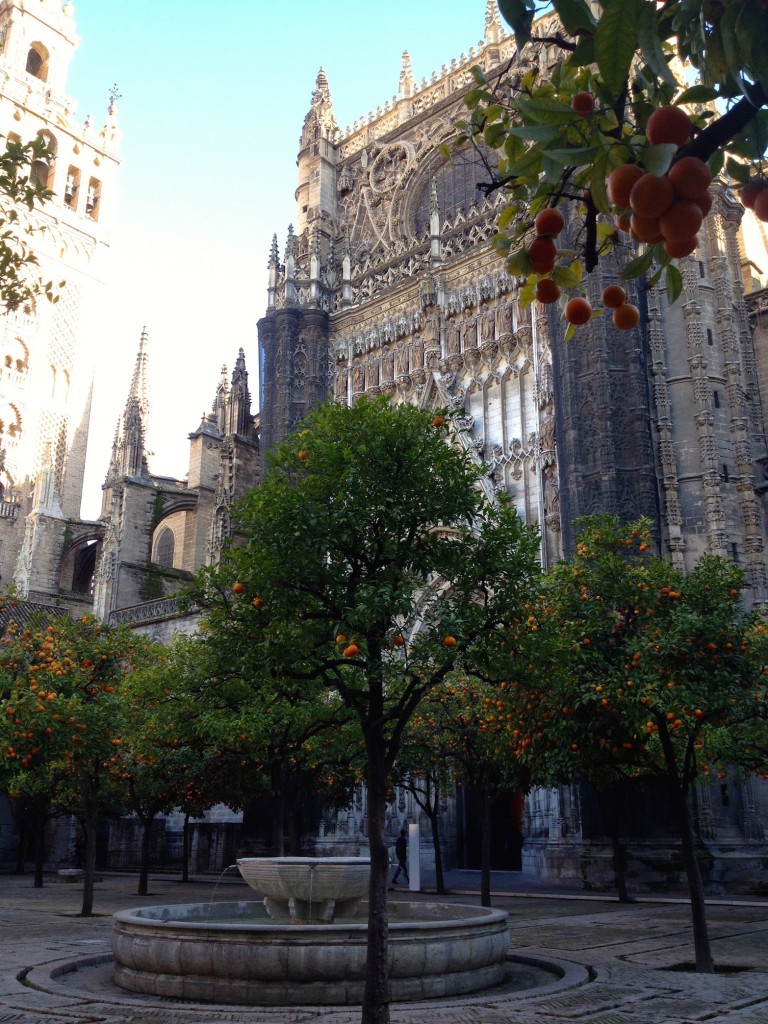 Sevilla's Cathedral has a beautiful courtyard full of orange trees!