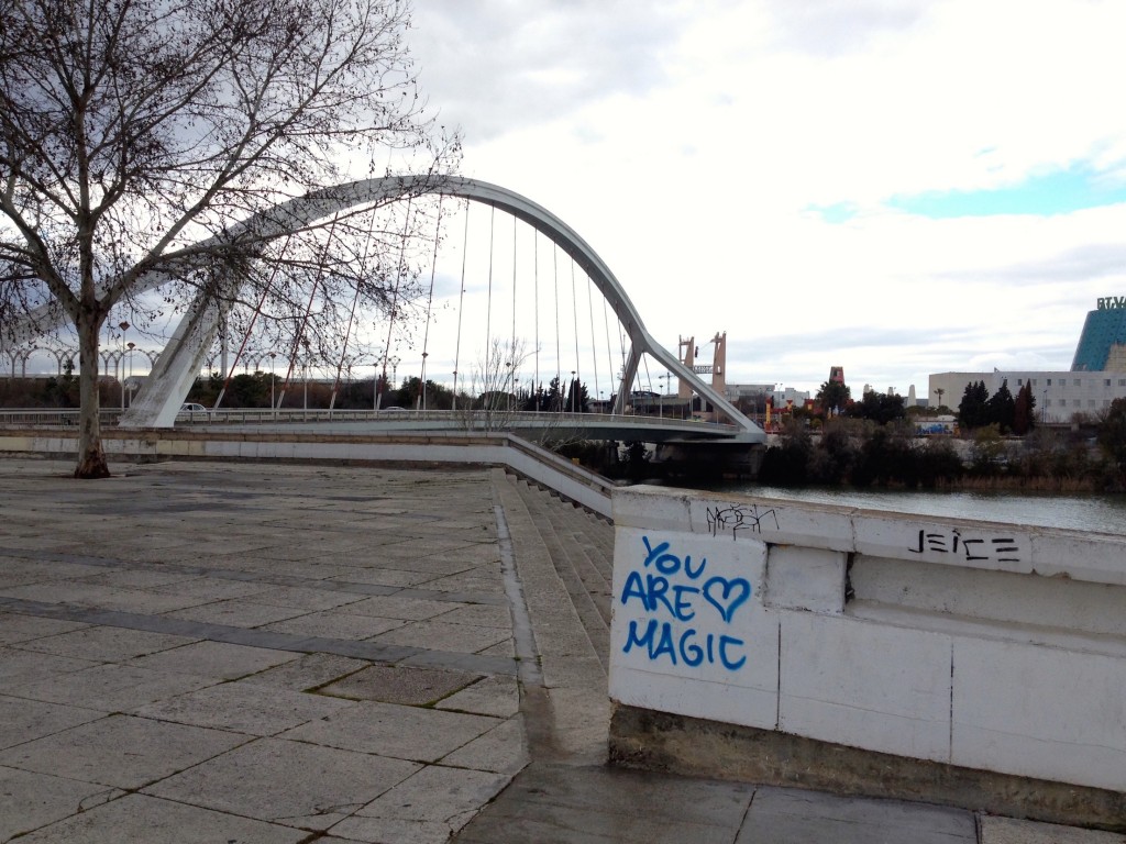 You are magic. What a fun thing to pass every time I went on a run, right?!