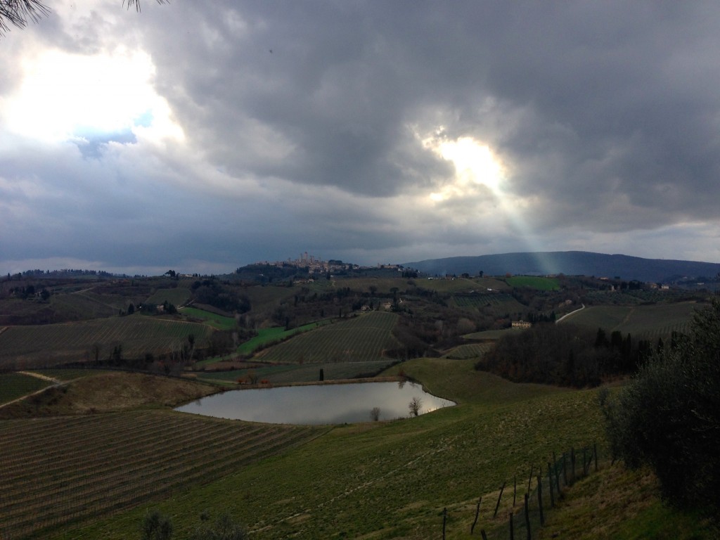 The view from Fattoria Poggio Alloro. The town on the hilltop is San Gimignano.