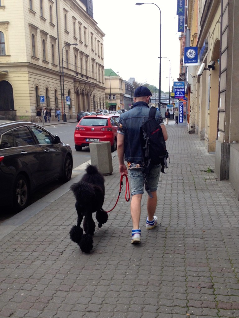 Hipsters have arrived in Prague, and they brought along their freshly groomed poodles.